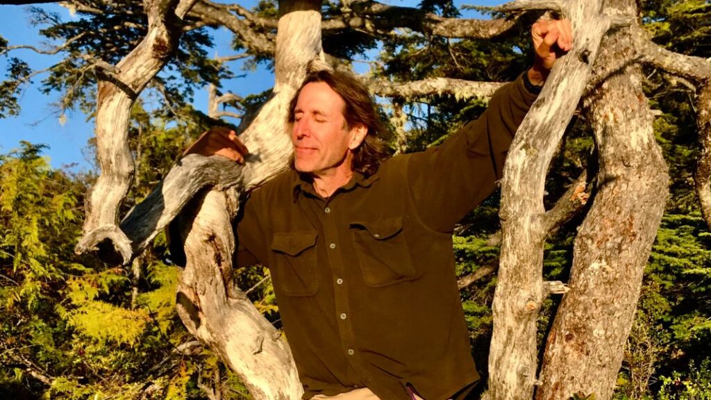 David Abram sits in a tree and looks on