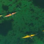 birds eye view of kayakers