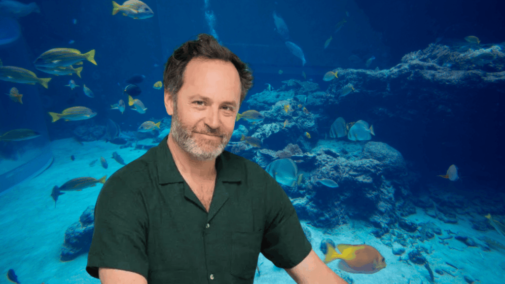 The programs featured image